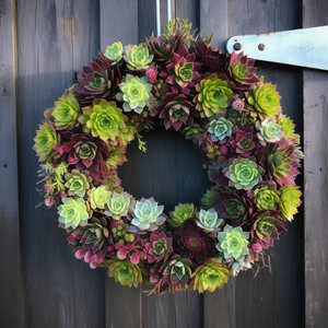 All-Weather Succulent Wreath | Hardy Sempervivum Plants | Live Outdoor Decor